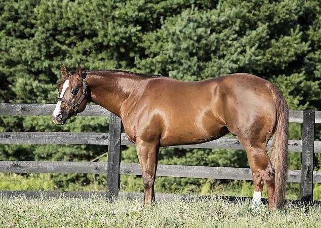 英LP Various Atlantic 1 HRLP705 Horse /00260 The Age Of Atlantic – Vinyl (LP, Compilation, Stereo), 1970