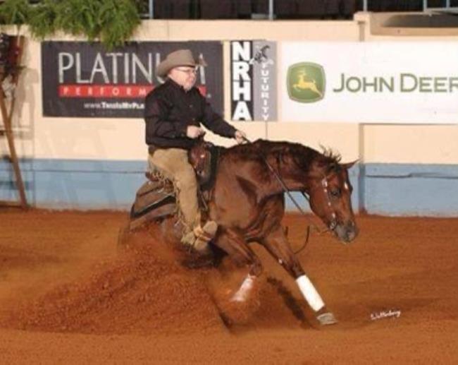 Top 5 Reining Sires of 2020 AQHA