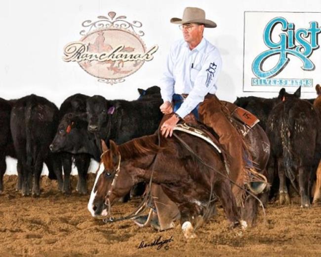 ❤️cats n horse’s ❤️追加分① 2WRThisCatsSmart-NCHAFinals.jpg